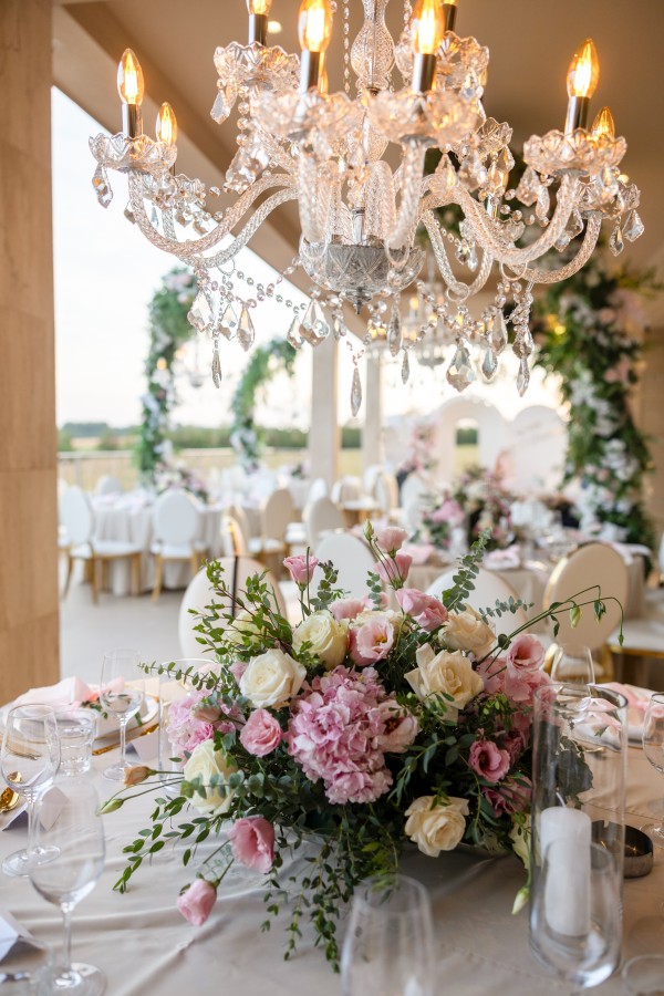 Hotel Hyde Hill / Bikini and Champagne